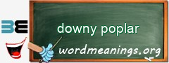 WordMeaning blackboard for downy poplar
